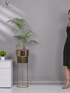 Elegance & fancy Block Heels