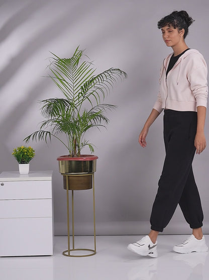 Soft Lace up Sneakers, Lightweight & Trendy Running Sports Shoes