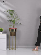 Soft & Attractive Laser Design Soft Doctor Slippers