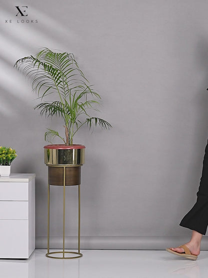 Comfortable & Stunning Laser Design Soft Doctor Slippers